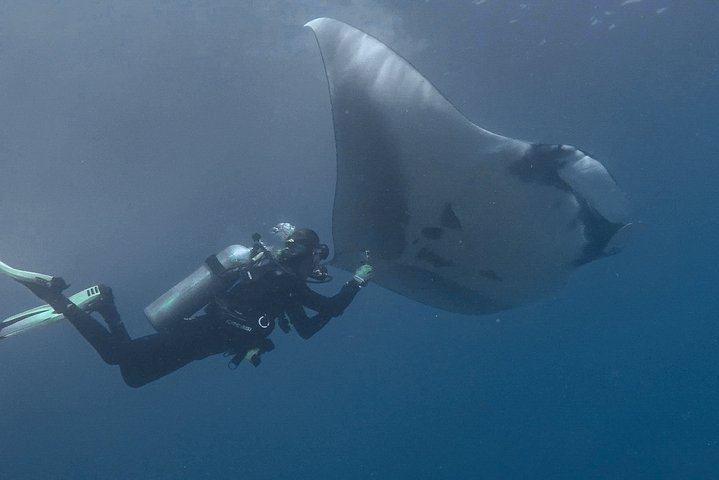Open Water Diver Certification OWD - Photo 1 of 8